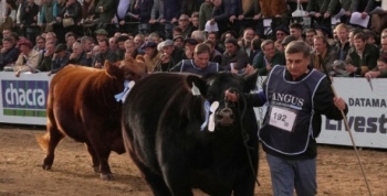 Expo Rural de Palermo: Córdoba fortaleció la promoción de su producción 