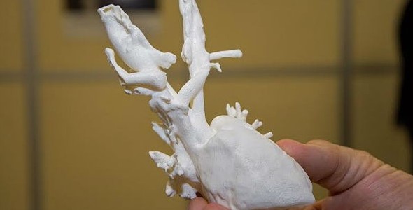 Biomodelos 3D: investigación y respuestas integrales