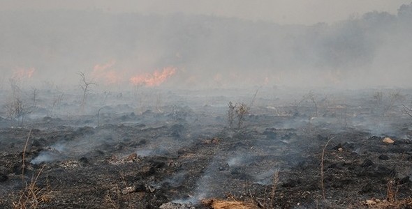 Córdoba decretó alerta ambiental por riesgo de incendios