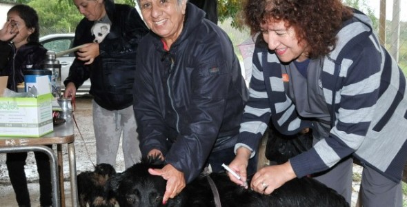 VACUNACIÓN ANTIRRÁBICA: YA SE COLOCARON 7 MIL DOSIS