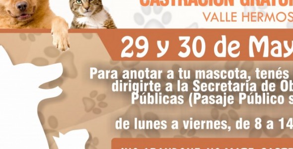 Se viene la primera jornada de castraciones gratuitas en Valle Hermoso