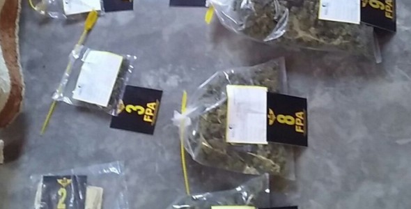 LA FPA SECUESTRÓ MARIHUANA Y GALLOS DE RIÑA EN CRUZ DEL EJE