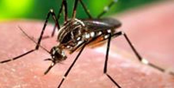 CAMPAÑA DE PREVENCIÓN CONTRA EL DENGUE EN CARLOS PAZ