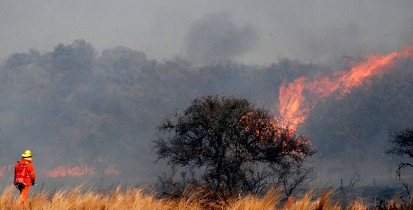 Advierten por posibles incendios forestales