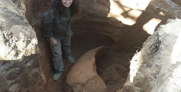 Recuperan restos fósiles de un gliptodonte en Chalacea
