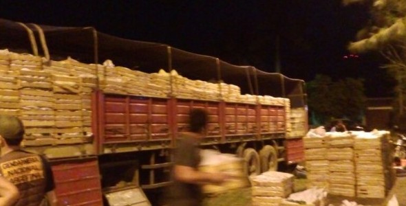 INCAUTACIÓN HISTÓRICA EN FORMOSA: 2542 KILOS DE MARIHUANA OCULTOS EN UNA CARGA DE ZAPALLITOS