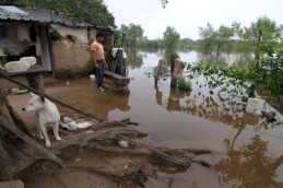 Son casi 29 mil los damnificados en el Litoral, Córdoba y Buenos Aires