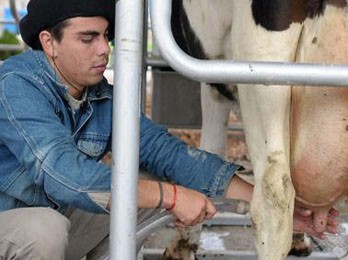 Productores lecheros reclaman $6 el litro de leche