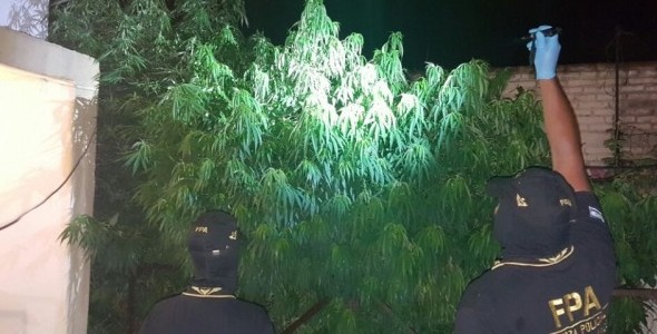 ALTA GRACIA: LA FPA INCAUTÓ MÁS DE UN KILO DE MARIHUANA A DUEÑO DE UN BAR