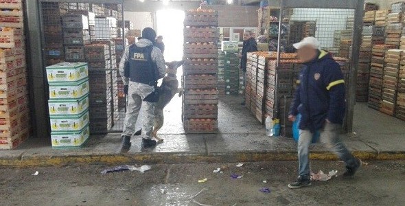 VILLA MARÍA: OPERATIVO ANTINARCÓTICOS EN EL MERCADO  