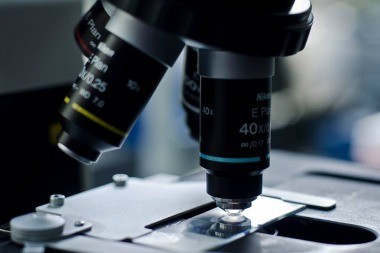 Científicos aseguran que convivir con algunos microbios es bueno para la salud