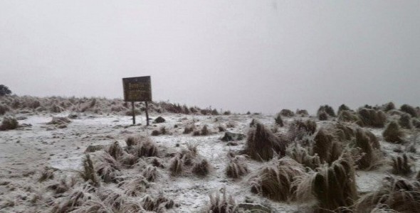 Piden que se respeten cortes por nieve para evitar accidentes