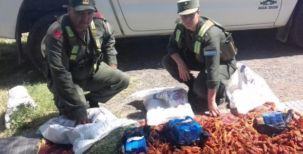 SECUESTRAN COCAÍNA OCULTA EN BOLSAS DE PIMIENTOS Y ORÉGANO