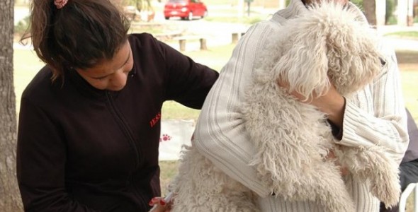 CRONOGRAMA DE VACUNACIÓN ANTIRRÁBICA PARA ESTA SEMANA