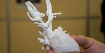 Biomodelos 3D: investigación y respuestas integrales