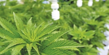 PROYECTO DE LEY PARA AUTORIZAR EL AUTOCULTIVO DE CANNABIS CON FINES MEDICINALES