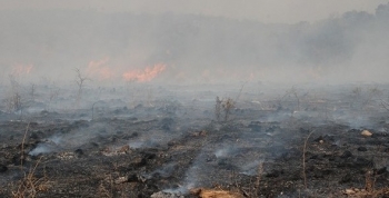 Córdoba decretó alerta ambiental por riesgo de incendios