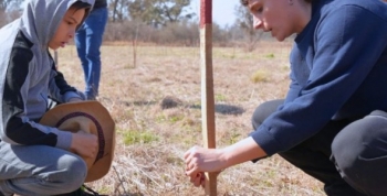 Campaña de forestación: En Córdoba crecerán 100 mil árboles nativos