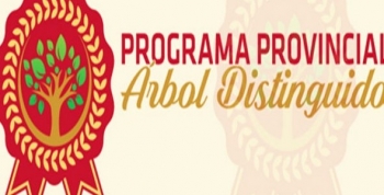 Presentan en Córdoba el programa Árbol distinguido