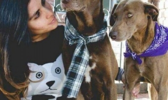 Vecina denunció agresión de una mujer tras denunciar al esposo por maltrato animal