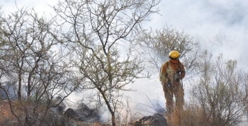 Bomberos combaten incendios en diferentes puntos de la provincia