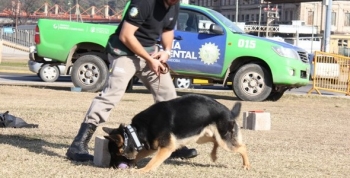 La brigada canina al rescate