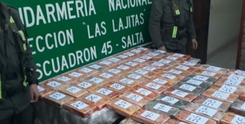 Operativo Camioneta Narcótica: secuestraron 73 kilos de cocaína en Salta