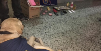 OPERATIVO JABONES DELINCUENTES: INCAUTAN COCAÍNA CAMUFLADA EN ARTÍCULOS DE LIMPIEZA