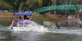 La Provincia se suma a la limpieza del Parque Sarmiento