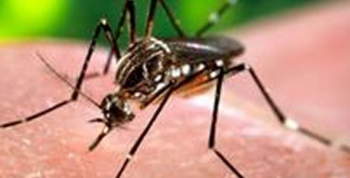 CAMPAÑA DE PREVENCIÓN CONTRA EL DENGUE EN CARLOS PAZ
