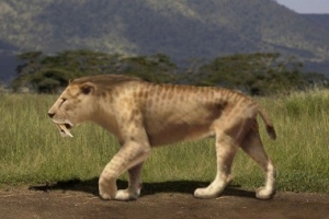Hallan en Miramar huellas del prehistórico tigre dientes de sable