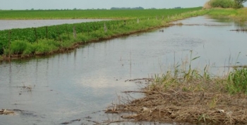 Emergencia Agropecuaria: ya hay 1.091 declaraciones aprobadas