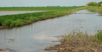 Nación homologó Emergencia Agropecuaria para Córdoba