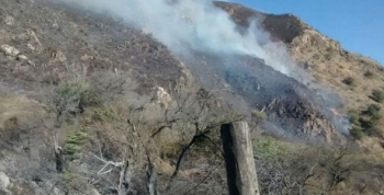 Detienen a dos personas por incendios desatados en Punilla