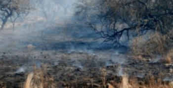 Hay un detenido por provocar un incendio en San Carlos Minas