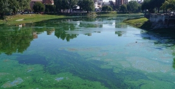 ¿Qué hacemos con el Lago San Roque? 