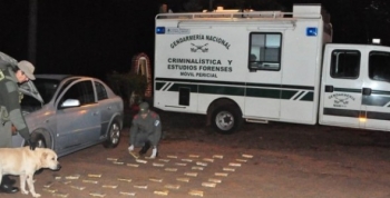 En Misiones un can antinarcóticos detectó 30 kilos de cocaína