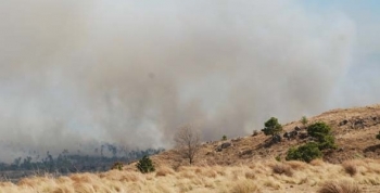 Bomberos combaten incendio en cerro Pan de Azúcar