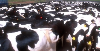 Se tomó completa la línea de créditos para tambos