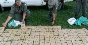 INCAUTARON MÁS DE 100 KILOS DE DROGA ARROJADOS DESDE AVIONETAS EN TUCUMÁN